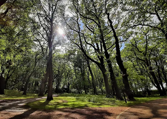 Lodge Domki Ajna Park W Uzdrowisku Kolberg