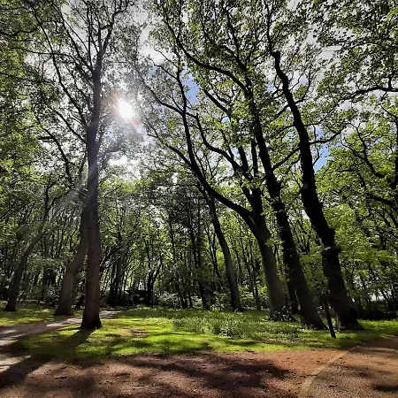 بيت خشبي Ajna Park W Uzdrowisku كولوبرزيغ